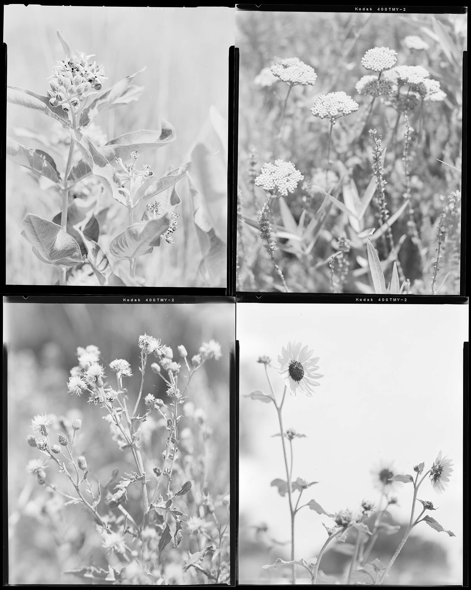 Angle of Draw_Shawn Bush_charta Award_11